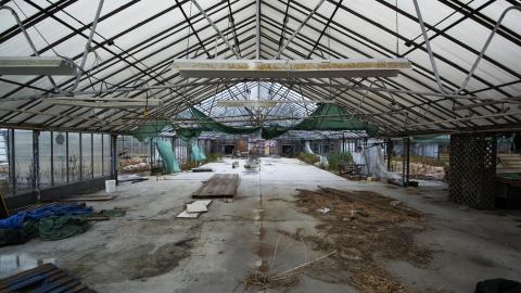 Flower Power - June 2016 - 8.jpg