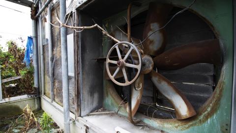 Flower Power - June 2016 - 9.jpg