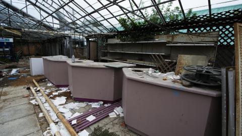 Flower Power - June 2016 - 13.jpg