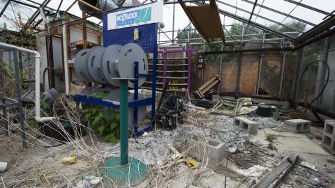 Flower Power - June 2016 - 15.jpg