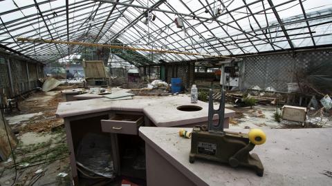 Photo from Flower Power - June 2016