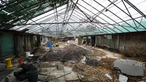 Photo from Flower Power - June 2016