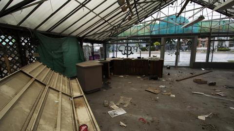 Flower Power - June 2016 - 20.jpg