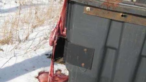 AHHHHHHHHHH - IMG_5450.jpg