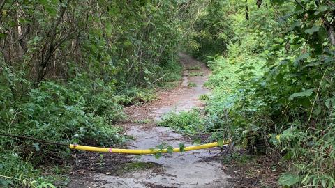 Photo from Buffalo Compound August 2021 *8 Years Later*