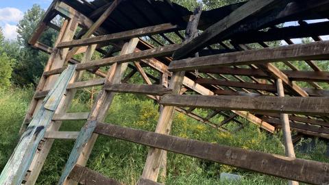 Buffalo Compound August 2021 *8 Years Later* - IMG_3031.JPG