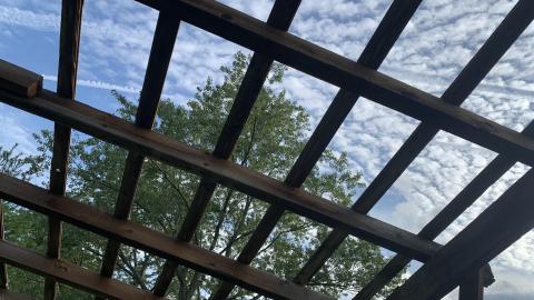 Buffalo Compound August 2021 *8 Years Later* - IMG_3033.JPG