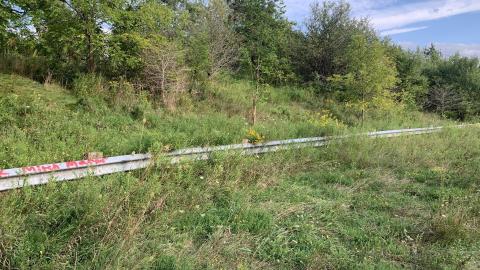 Photo from Buffalo Compound August 2021 *8 Years Later*