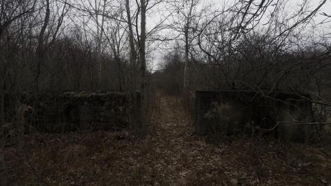 Spring & Fall - GOPR0735.jpg