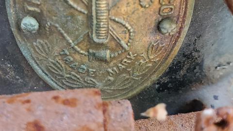 Still here - 20210831_120138_246059874891134.jpg