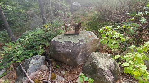 Still here - 20210831_120102.jpg