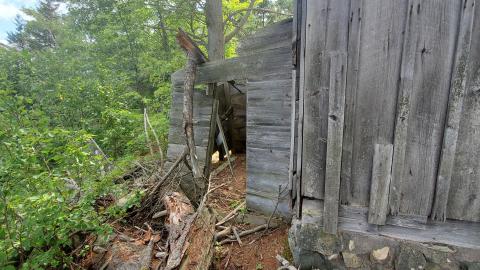 Still here - 20210831_115759.jpg