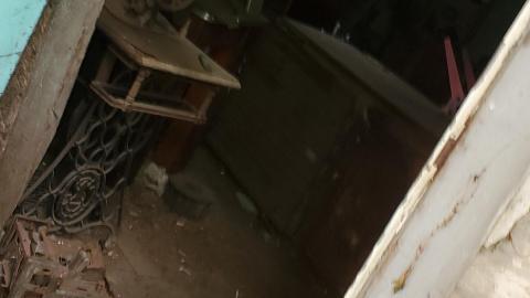 Still here - 20210831_115648.jpg