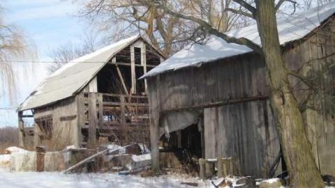 AHHHHHHHHHH - IMG_5461.jpg