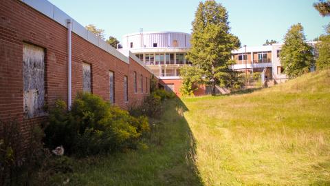 Chased Out (September 2021) - IMG_1510.JPG