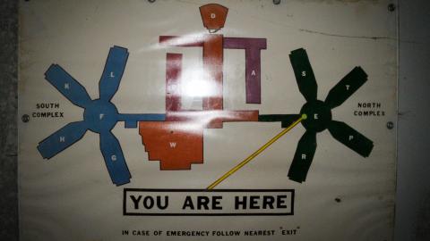 Chased Out (September 2021) - IMG_1511.JPG