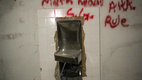 Photo from Chased Out (September 2021)