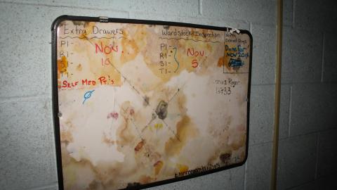 Photo from Chased Out (September 2021)