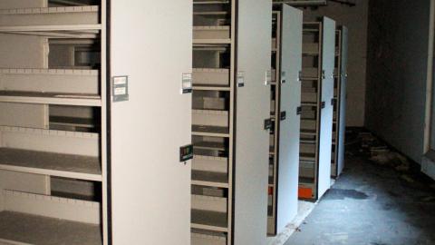 Chased Out (September 2021) - IMG_1516.JPG