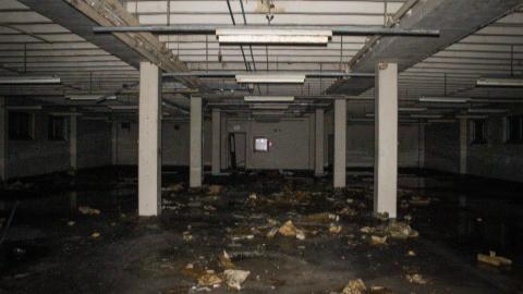 Chased Out (September 2021) - IMG_1517.JPG