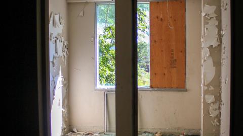 Chased Out (September 2021) - IMG_1519.JPG