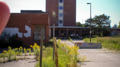 Chased Out (September 2021) - IMG_1525.JPG