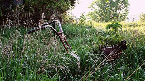 2015 - 11535867_10153377522215797_6745822149390315054_n.jpg