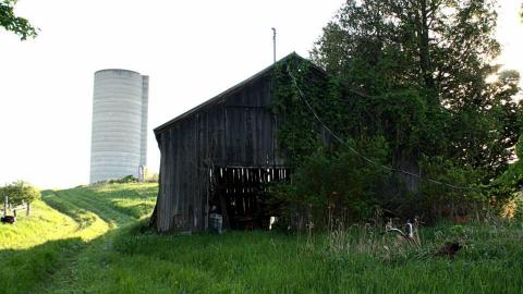 2015 - 11142417_10153377519500797_6848385412011983824_n.jpg