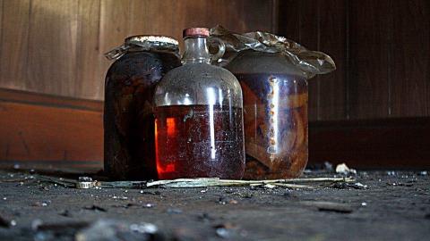 2015 - 1907545_10153377520445797_740375435115612806_n.jpg