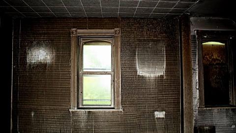 2015 - 10302098_10153377519520797_4156131714082004489_n.jpg