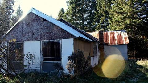 2015 - 12291801_10153718573860797_5065399184245430884_o.jpg