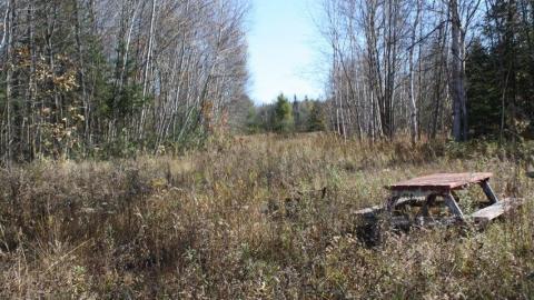 2015 - 11262018_10153718579445797_183690105108493954_o.jpg