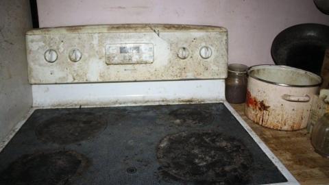 2015 - 12291927_10153718578240797_7878744359078384130_o.jpg