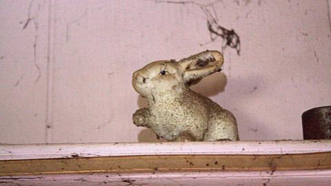 2015 - 12273754_10153718578020797_3102395133593413096_o.jpg