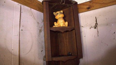 2015 - 12291684_10153718577920797_6043413630242147177_o.jpg