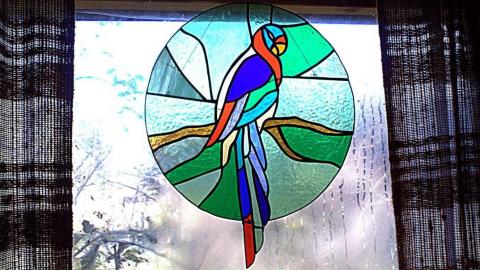 2015 - 12291255_10153718577450797_400823636147757407_o.jpg