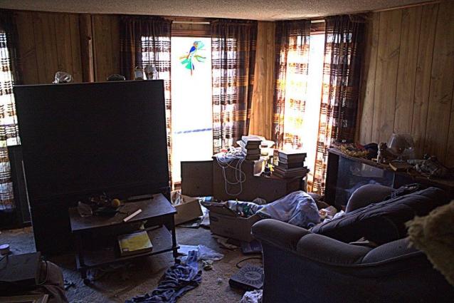 Follow the White-ish Rabbit photo 4