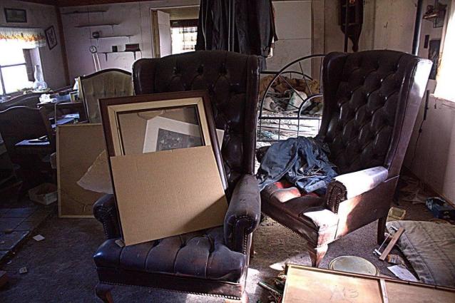 Follow the White-ish Rabbit photo 5