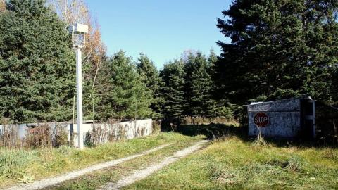 2015 - 12291943_10153718574045797_786252934366268890_o.jpg