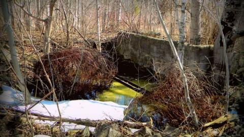 2014 - 10157355_10152375359565797_5811441331582216450_n.jpg