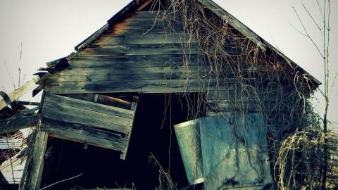 2014 - 10174818_10152375357760797_7133594344873537842_n.jpg