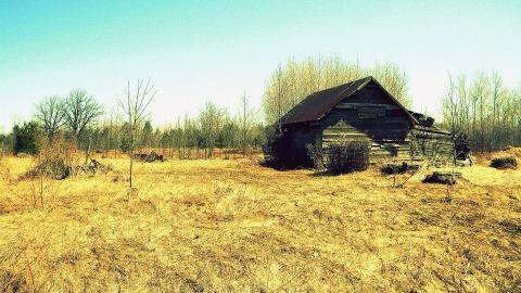 2014 - 10295820_10152375357905797_8462527348353044438_n.jpg