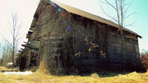 2014 - 10155254_10152375353625797_4863078012645192094_n.jpg