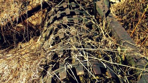 2014 - 1613907_10152375352970797_368778089853560776_n.jpg