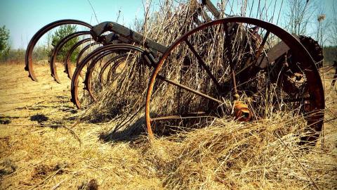 2014 - 10294349_10152375352645797_3181459689827408783_n.jpg