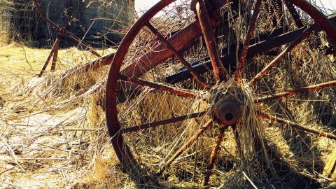 2014 - 1797542_10152375352000797_2856359237790475010_n.jpg