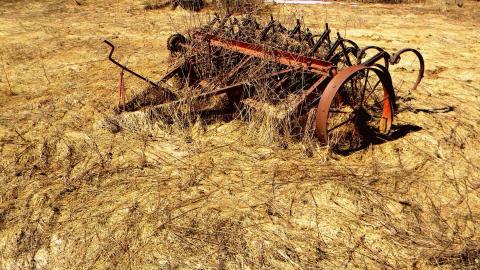 2014 - 10308169_10152375351975797_5147865037770900850_n.jpg