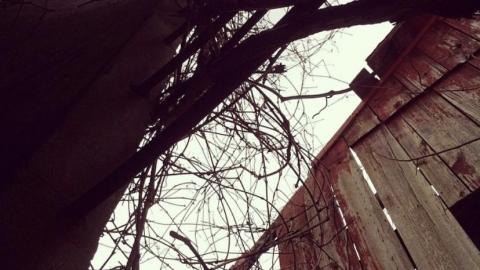 R.I.P To This Legend - 4217DCDC-9180-4629-AF89-43F41E8D432D.jpeg