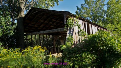 Inside The Outbuildings - IMG_6082.JPG