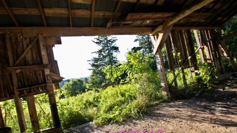 Inside The Outbuildings - IMG_6087.JPG